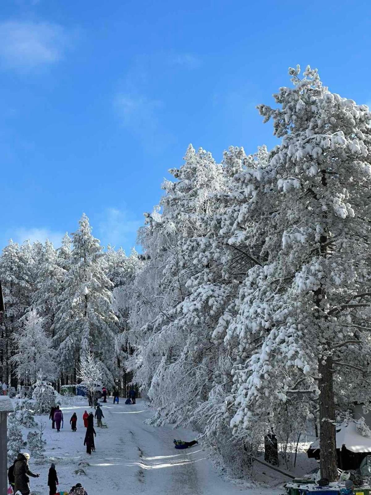 All Seasons Residence Zlatibor Ngoại thất bức ảnh